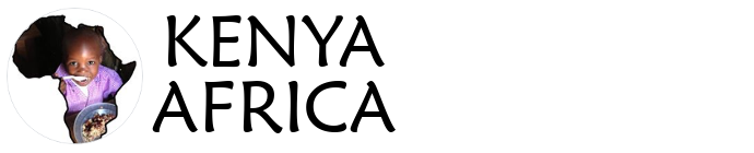 Soweto Academy Logo